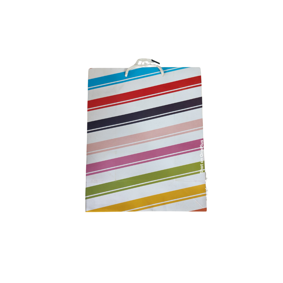 Designer Carry Gifting Bag,30x25cm.