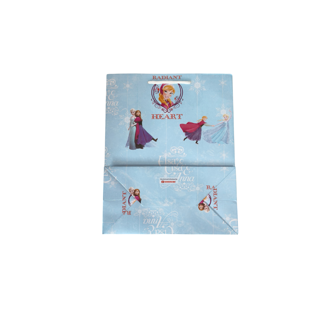Elsa and Anna Frozen themed Carry Bags,30x25cm.