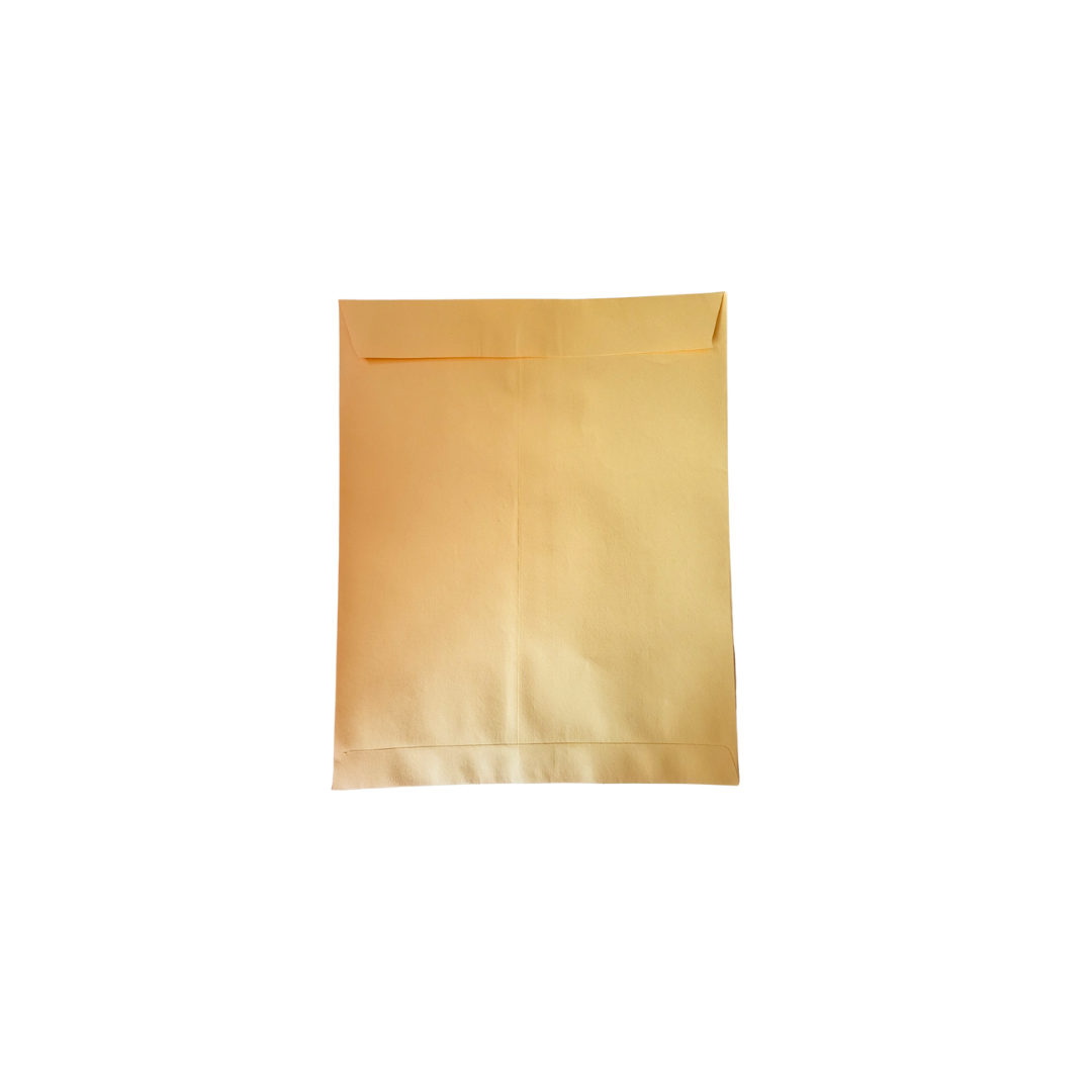 Envelopes 12x7.25 inch