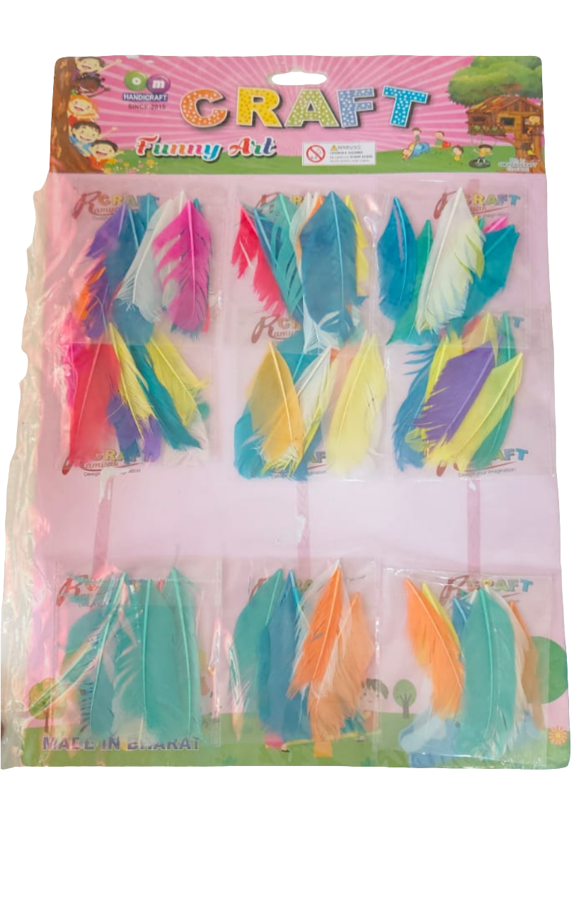 Craft colorful Feather