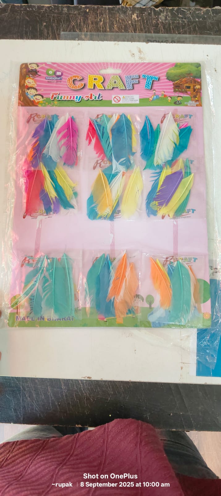 Craft colorful Feather